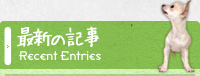 最新の記事