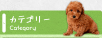 カテゴリー